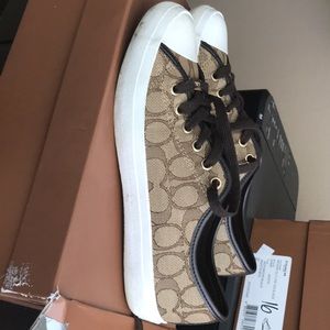 Coach sneaker empire outline